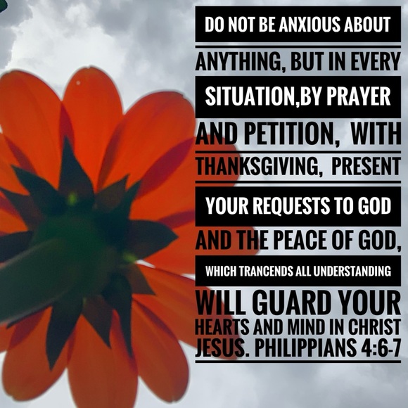 Meet your Posher, Bethie - Picture 3 of 16